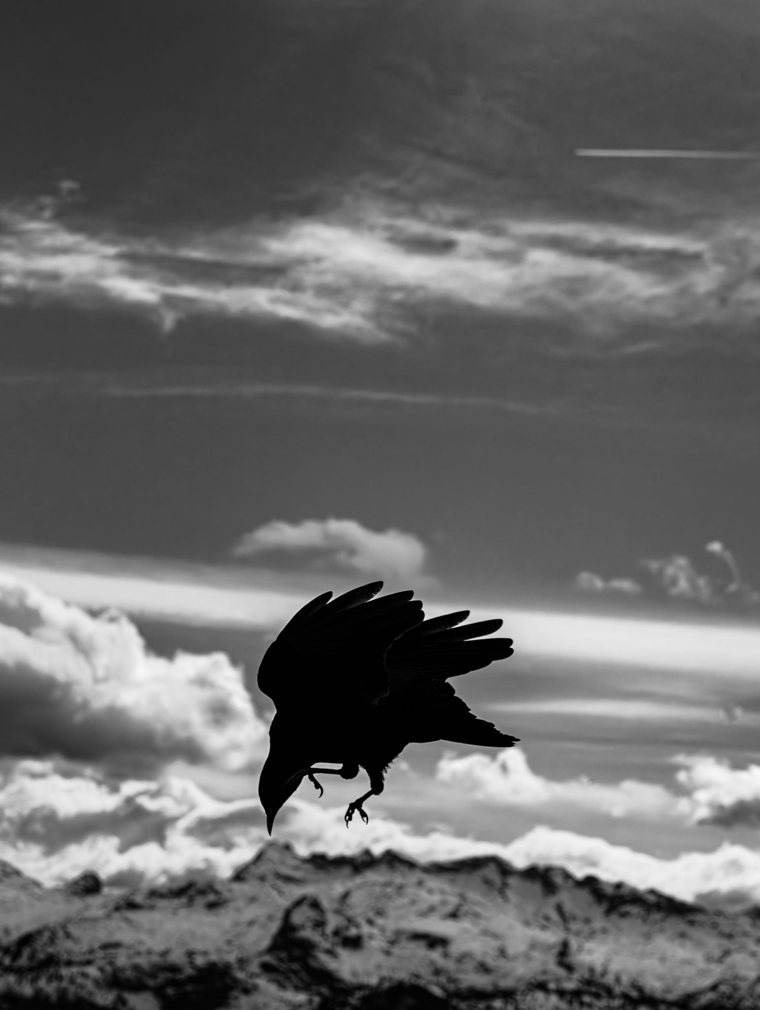 DSC01678-Verbessert-RR